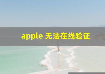 apple 无法在线验证